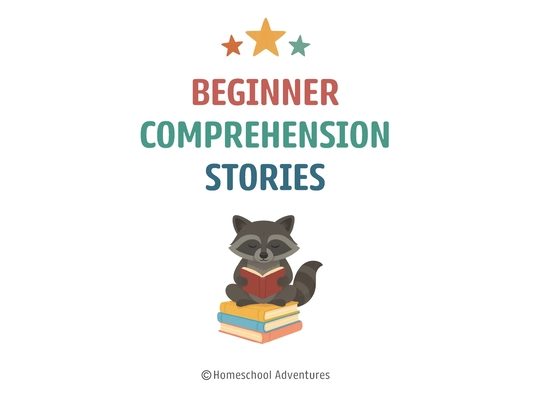 Beginner Comprehension Stories: Reading Comprehension 1st Grade