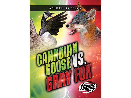 Canada Goose vs. Gray Fox