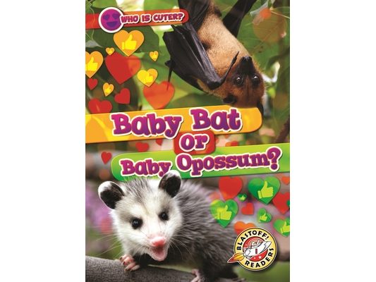 Baby Bat or Baby Opossum?