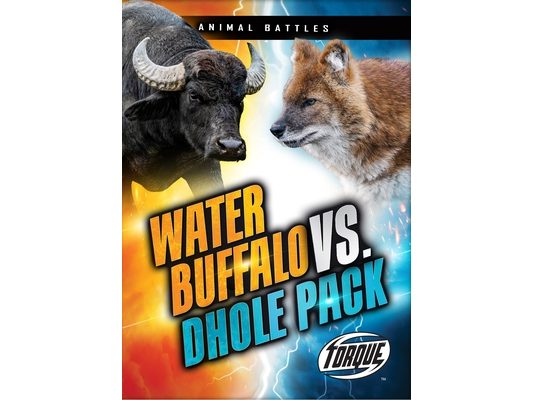 Water Buffalo vs. Dhole Pack