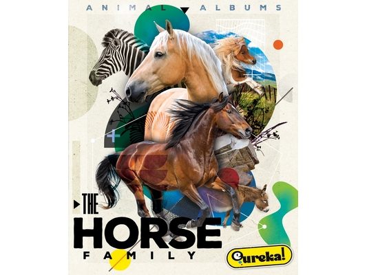 The Horse Family