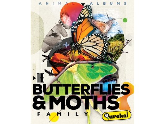 The Butterfly and Moth Family