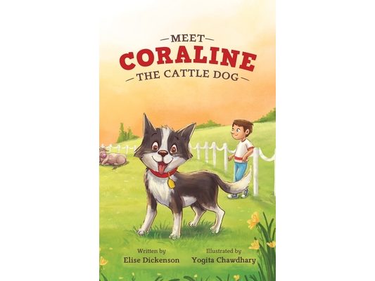 Meet Coraline the Cattle Dog