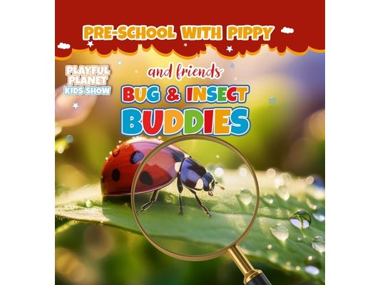 Bug and Insect Buddies