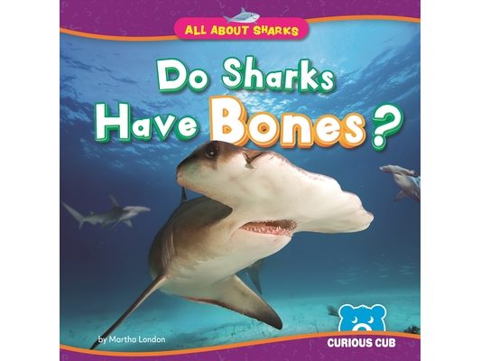 Do Sharks Have Bones?