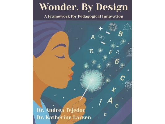 Wonder, By Design: A Framework for Pedagogical Innovation