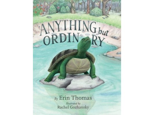 Anything But Ordinary
