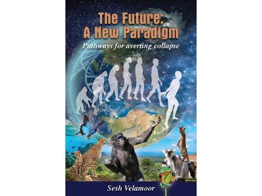 The Future: A New Paradigm - Pathways for Averting Collapse