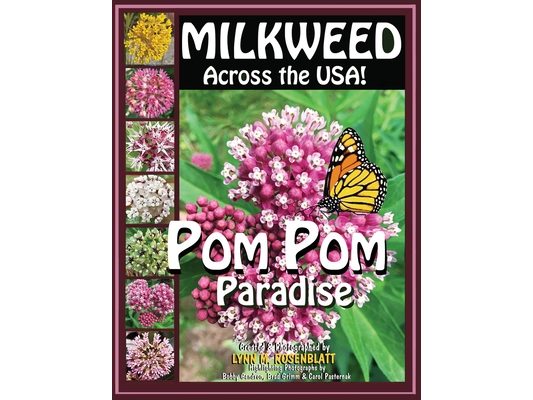 MILKWEED Across the USA!: POM POM Paradise