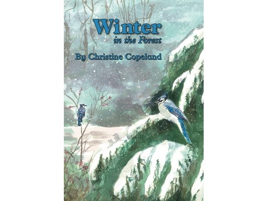 Winter in the Forest: A Seasons in the Forest Book
