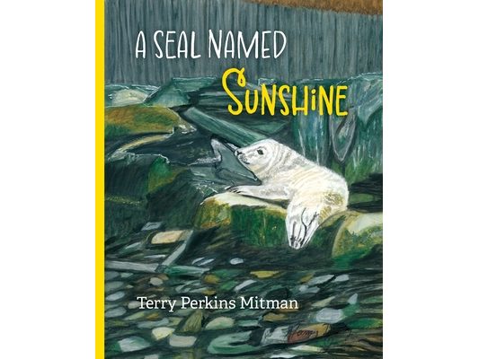 A Seal Named Sunshine: The Story of Sunshine and All the Rest Who Made a Big Splash One Winter in Maine
