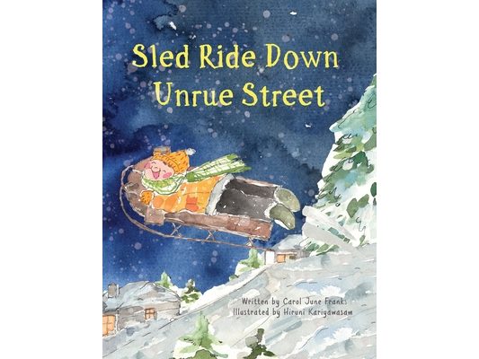 Sled Ride Down Unrue Street