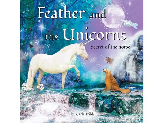 Feather and the Unicorns: Secret of the Horse