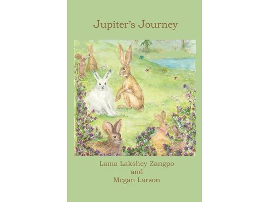 Jupiter's Journey