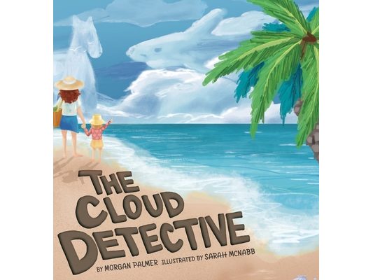 The Cloud Detective