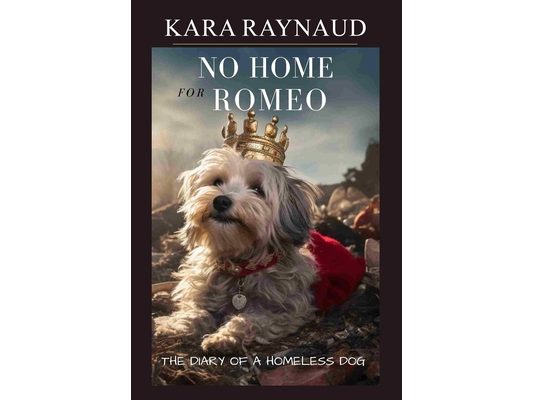 No Home For Romeo... The Diary of a Homeless Dog