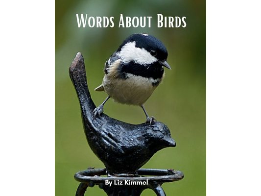 Words About Birds