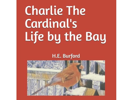 Charlie The Cardinal's Life by the Bay