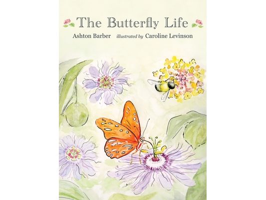 The Butterfly Life