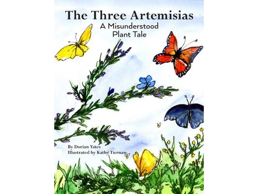 The Three Artemisias: A Misunderstood Plant Tale