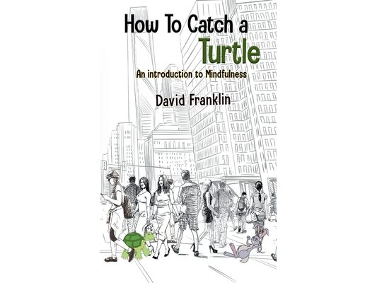 How to Catch a Turtle: An Introduction to Mindfulness
