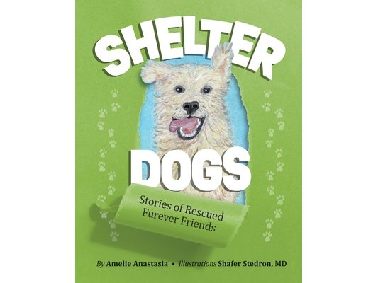 Shelter Dogs