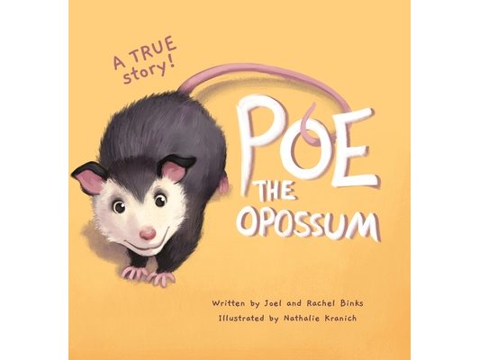 Poe The Opossum - A True Story