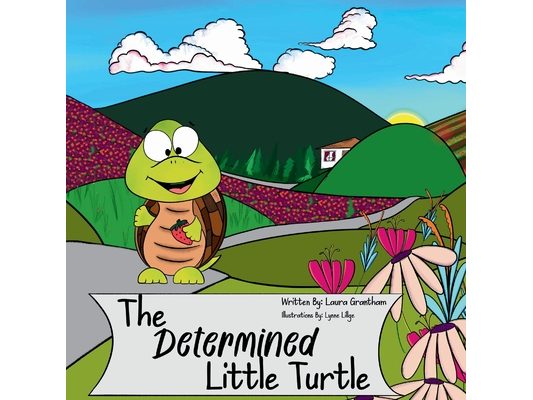 A Determined Little Turtle