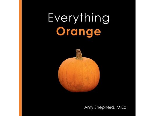 Everything Orange: A joyful concept book designed for every learner
