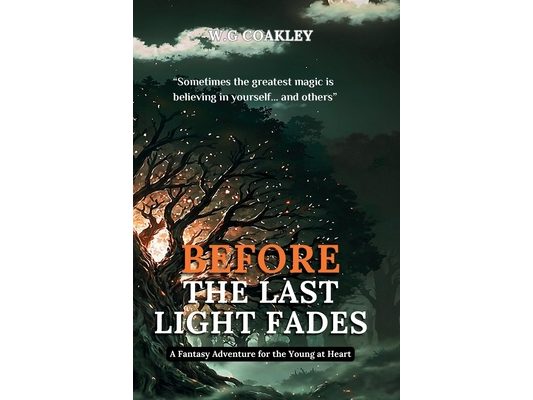 Before the Last Light Fades: Fantasy Adventure for the Young at Heart