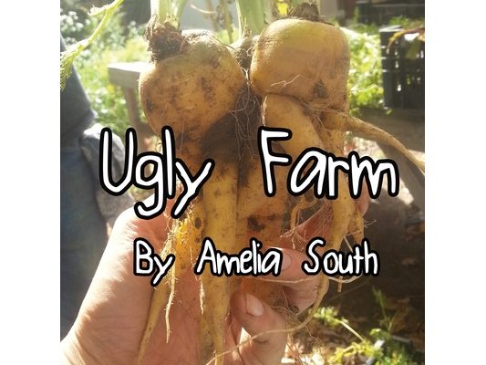 Ugly Farm