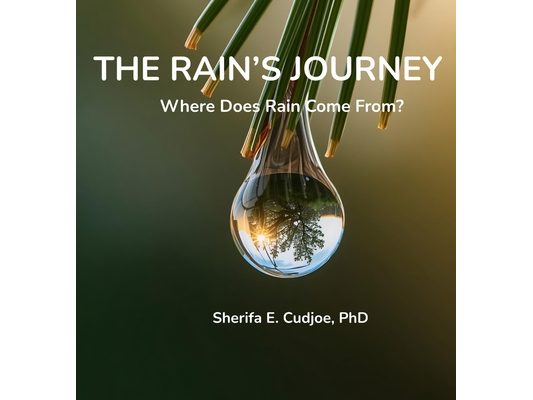 The Rain's Journey: Where Does Rain Come From?
