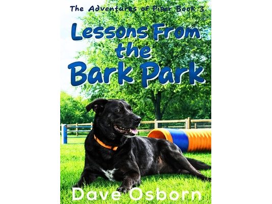 Lessons From the Bark Park