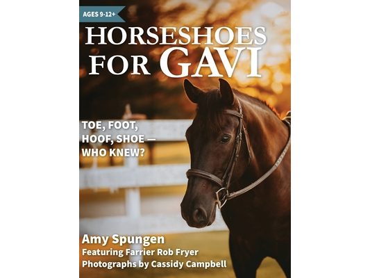 Horseshoes for Gavi: Toe, Foot, Hoof, Shoe - Who Knew?