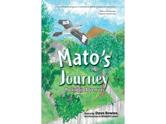 Mato's Journey