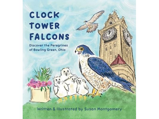 Clock Tower Falcons
